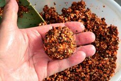SuperRed Bait Variations: Creative Recipes and Techniques for Anglers - Haith's UK