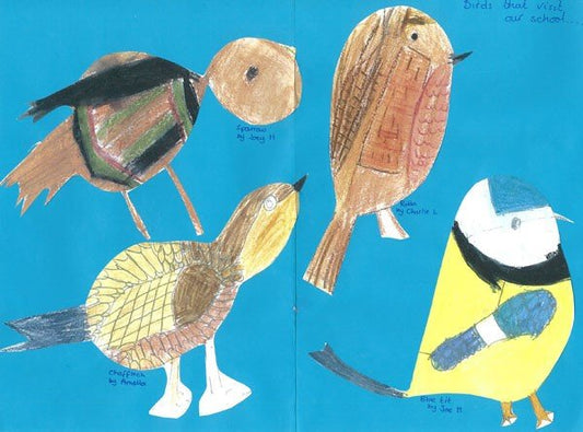 The early years of bird feeding - Haith's UK