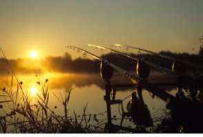 The Wind and Its Effect on Fishing Part 2: Advanced Insights - Haith's UK