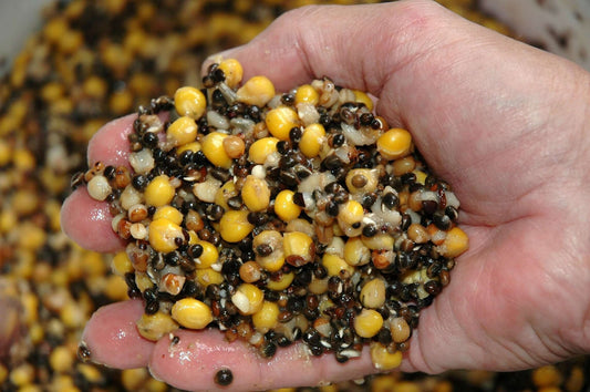 Top 10 Particle Baits for Fishing: Part One - Haith's UK