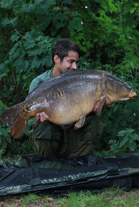 Turning Point: Key Moments in Fishing Success - Haith's UK