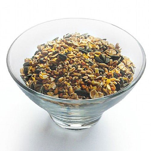 What Do You Feed a Bird? Essential Tips for Bird Feeding - Haith's UK