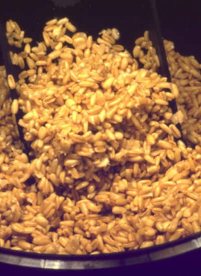 What everyone ought to know about preparing groats - Haith's UK