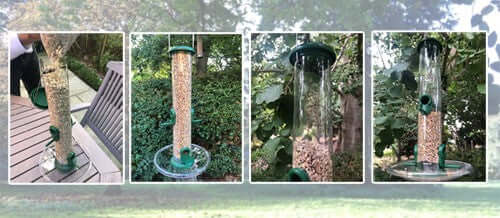 Wildlife adventures with an iPhone - Two New Autumn & Winter Bird Seeds - Haith's UK