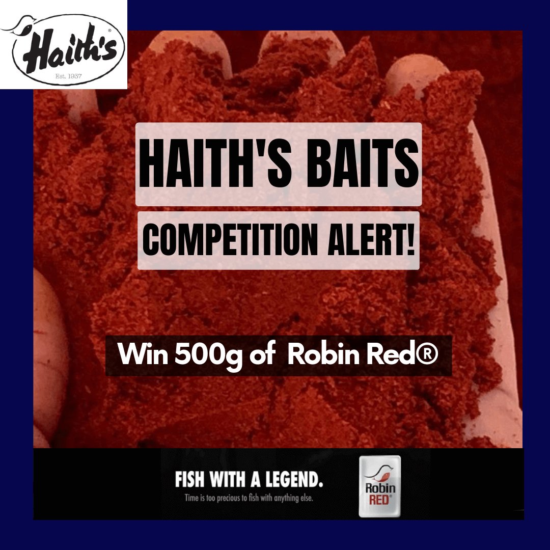 Win a bag of Robin Red fishing bait - Haith's UK
