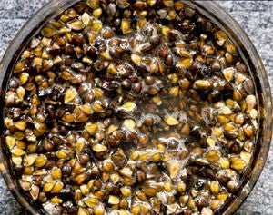 Winter Particles: Effective Bait Techniques for Cold-Weather Fishing - Haith's UK