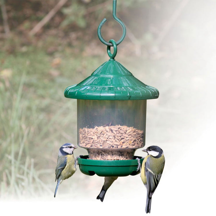 Three birds perched on a green bird feeder.