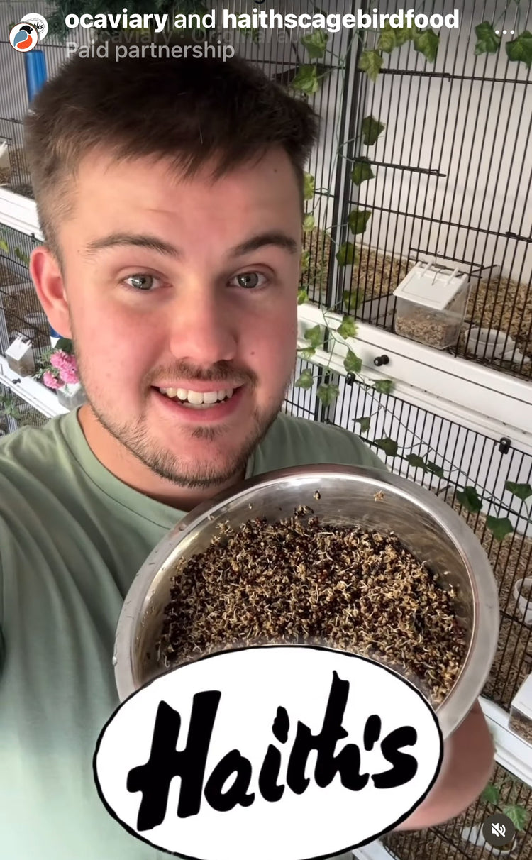 OC Aviary and Oliver using Haith's cage bird seed
