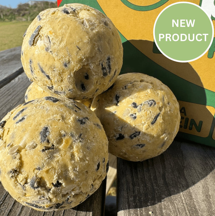 Fat balls for wild bird food
