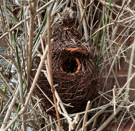 Bird Nest Box for Small Birds, Three Bird Food Boxes House Brood Nest for  Garden Interior Decoration Outdoors : : Pet Supplies