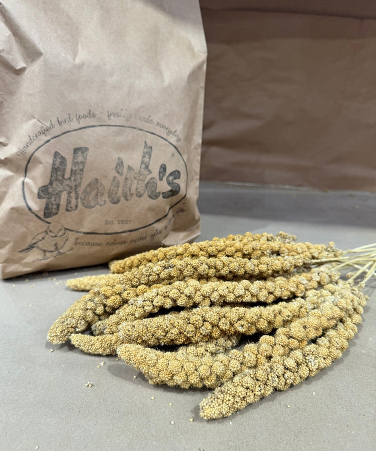 10% off Millet seed sprays