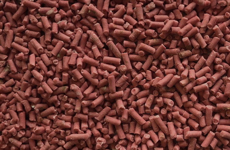 Top-Quality Suet Pellets - Haith's