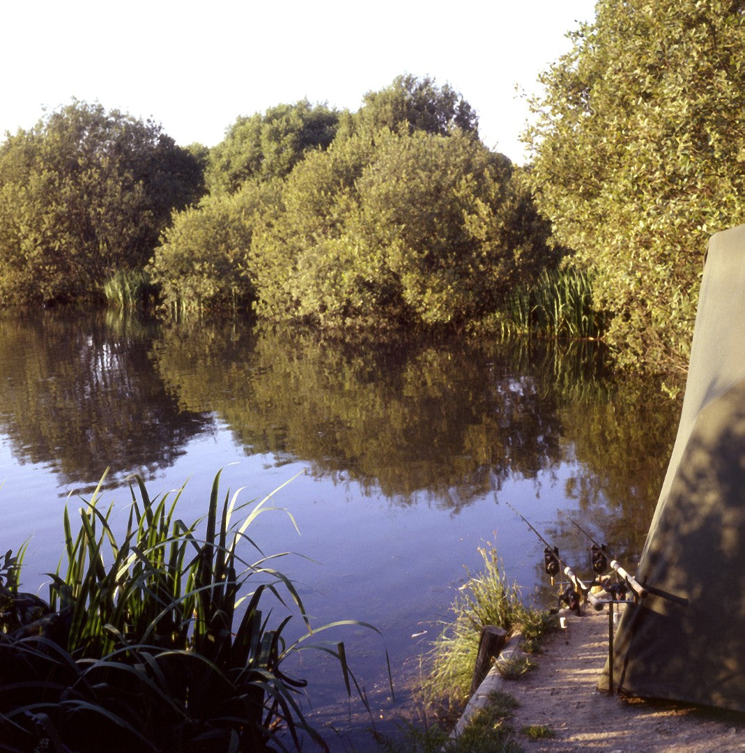 a lake surrounded by trees