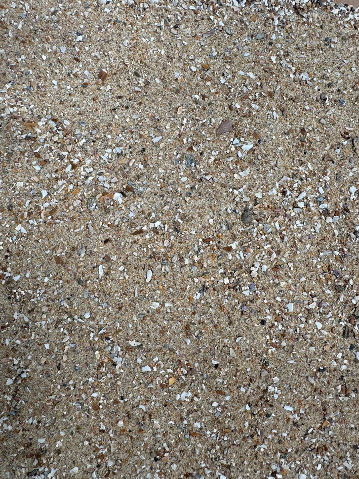 Bird Sand