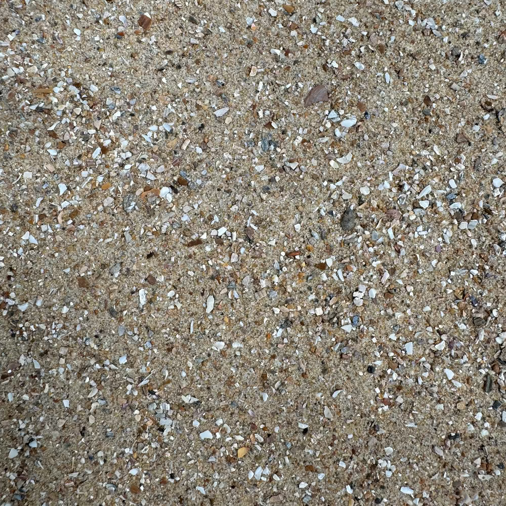 Bird Sand