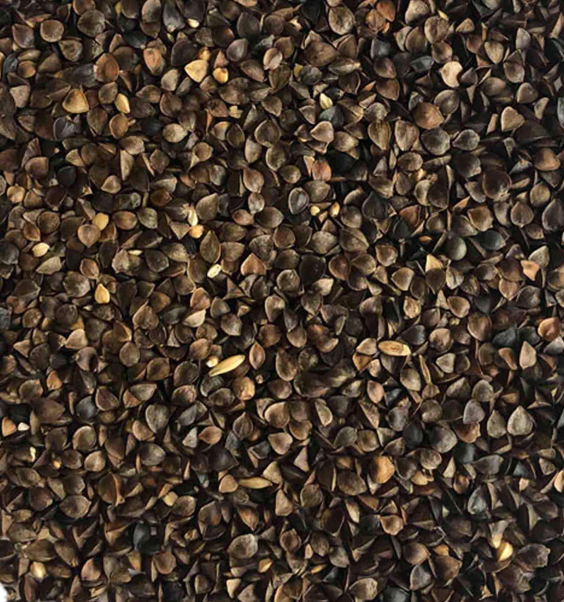 Buckwheat Add to parrot & parakeet seed mixes Haith's UK