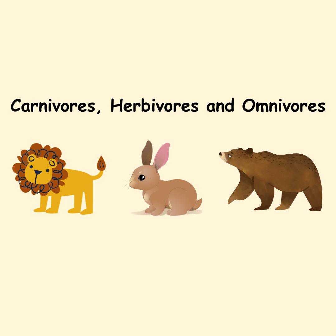 Carnivores, herbivores and omnivores animal graphic.