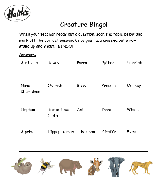 Create Bingo! PDF
