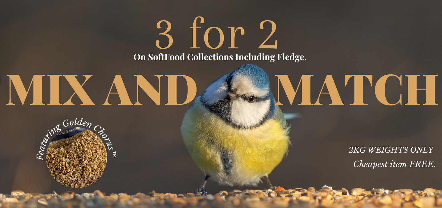 3 for 2 mix and match on Haith's handcrafted soft food for garden wild birds.