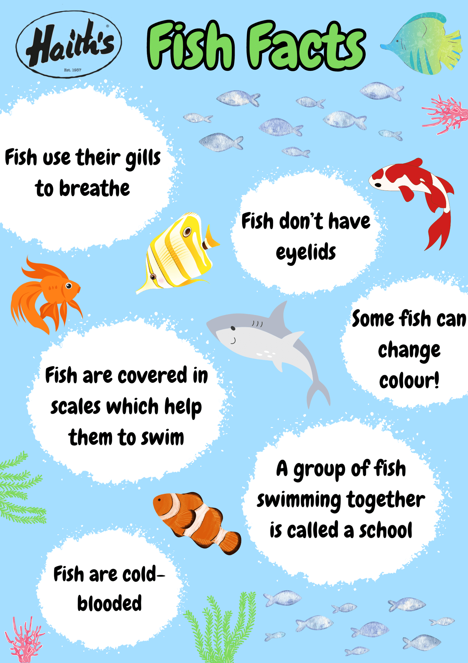 Poster with sea creature graphics and facts.