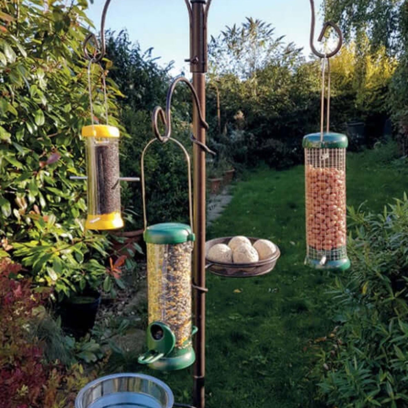 Full bird feeding station with feeders, a water bowl and fat ball holder.
