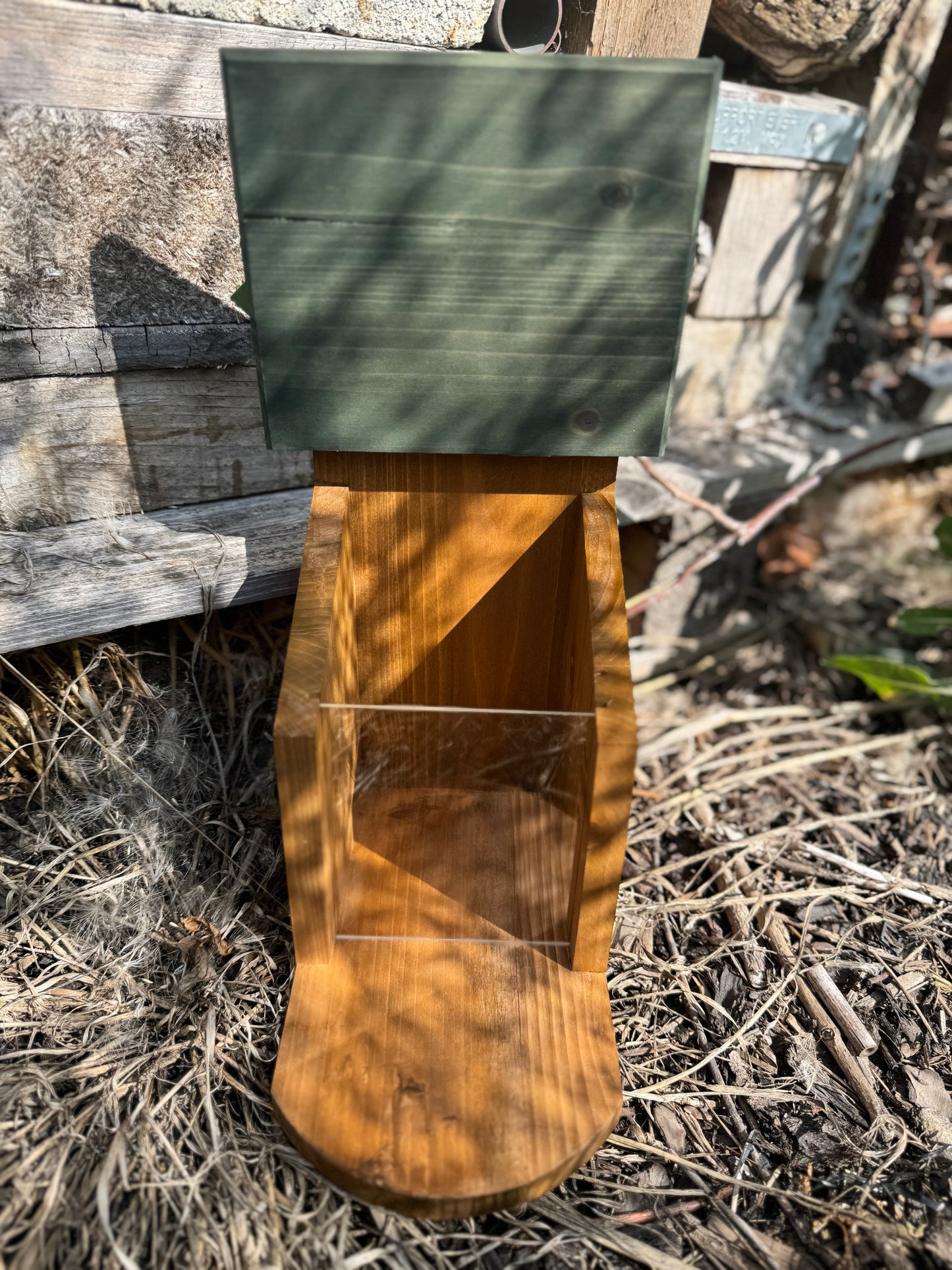 Wooden squirrel feeder with green top on a natural background