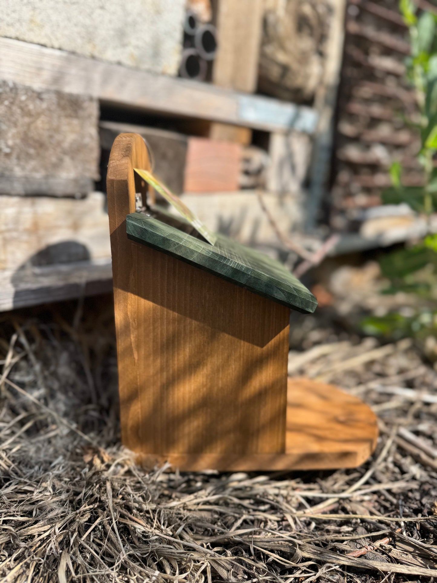 Wooden squirrel feeder with a green roof on a natural background