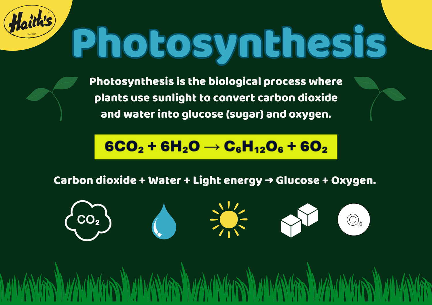 Photosynthesis graphic, showing the formula.