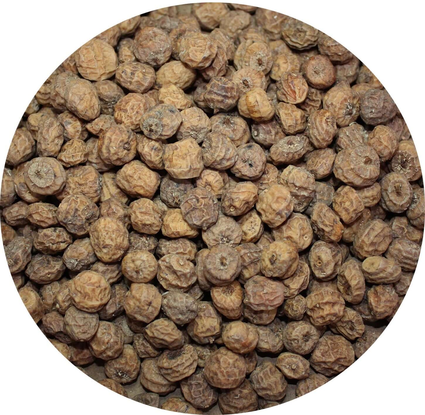 Tiger Nuts are selected for their sweetness and their size  and they are crammed full of attraction . 