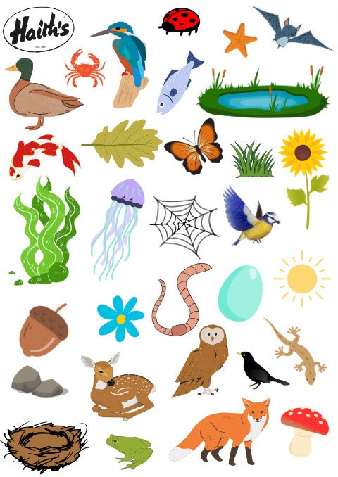 Colourful wildlife graphic.