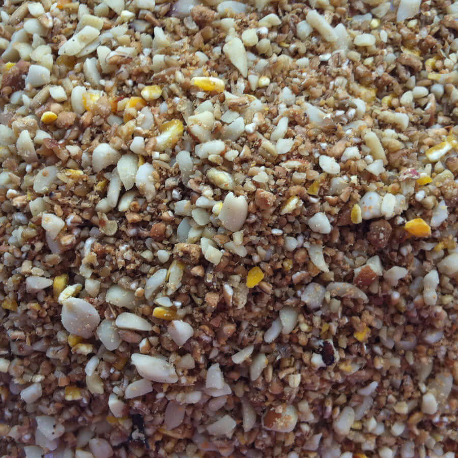 close up image of beggars banquet