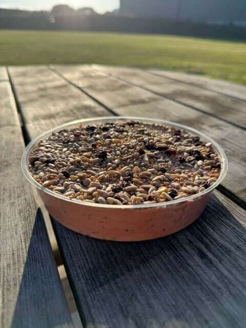 Berry Suet Cookie - Haith's