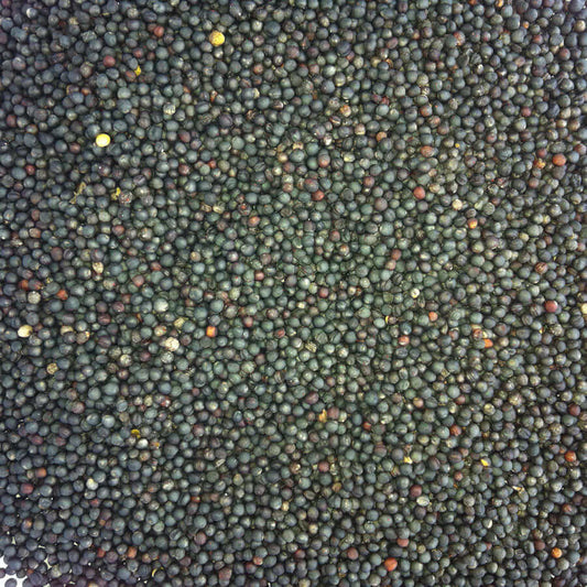 Black Rapeseed for cage birds - Haith's