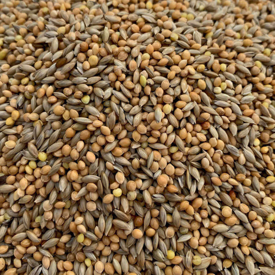 Budgie Breeders 50/50 Seed Mix - Haith's