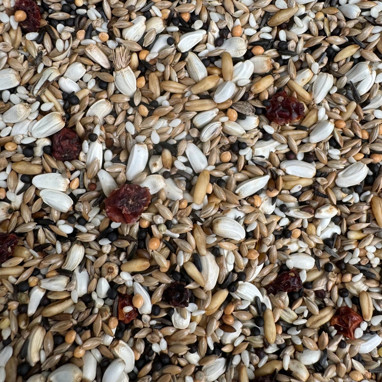 Bullfinch Mix - Haith's