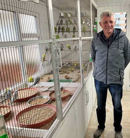 Chris Snell Champion Budgie Breeder in his own birdroom.