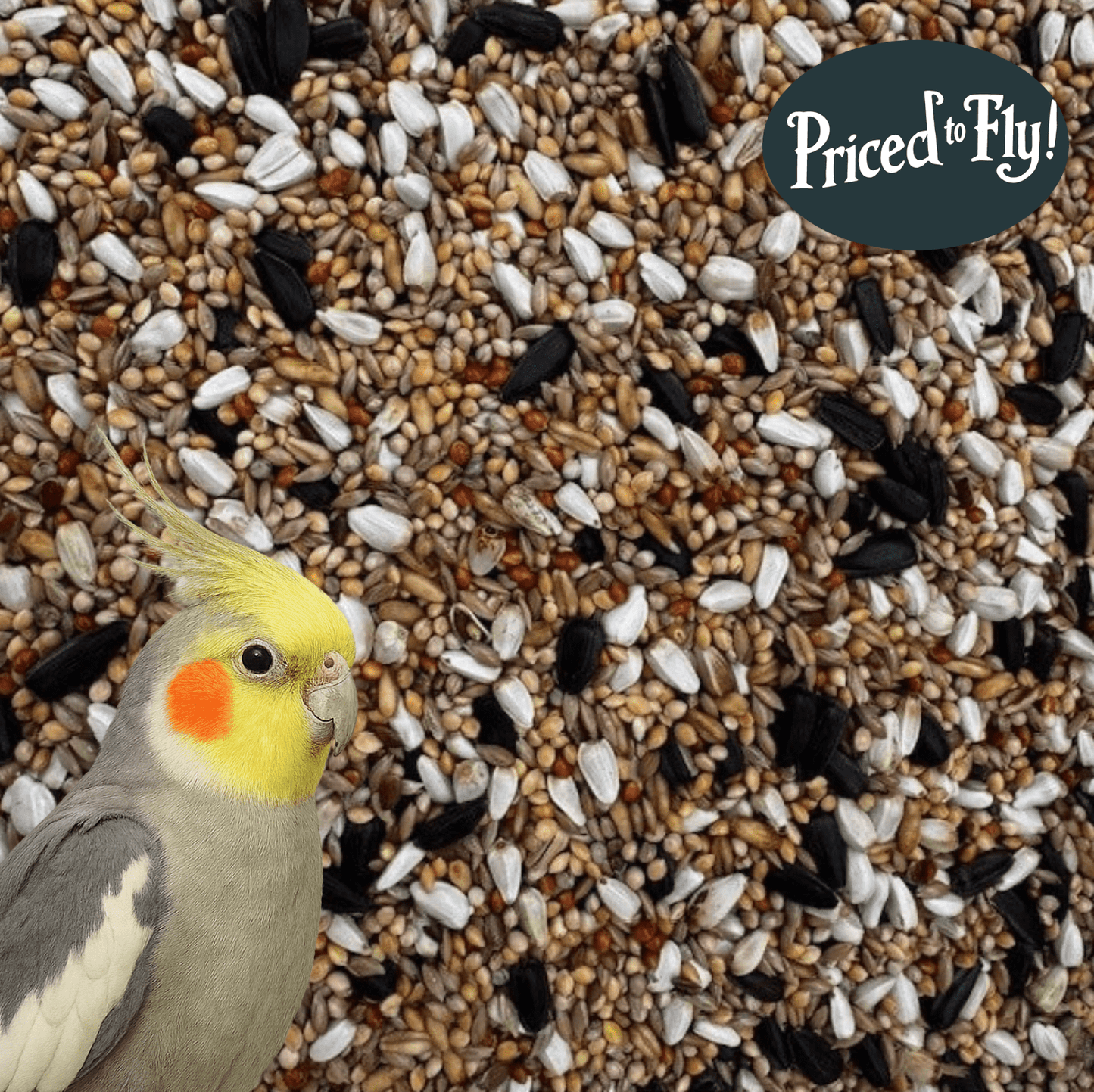 Cockatiel Mix – A Wholesome Daily Diet for Cockatiels and Parakeets - Haith's UK