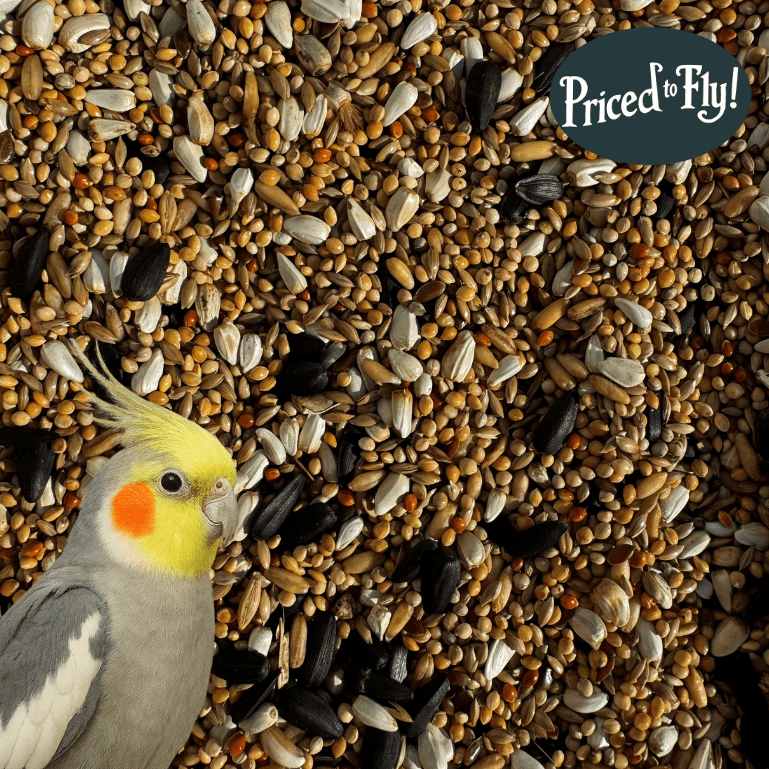 Cockatiel Mix Seed for Cockatiels Parakeets – Haith's UK