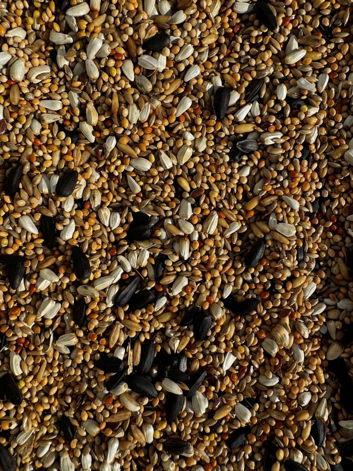 Cockatiel Mix – A Wholesome Daily Diet for Cockatiels and Parakeets - Haith's UK