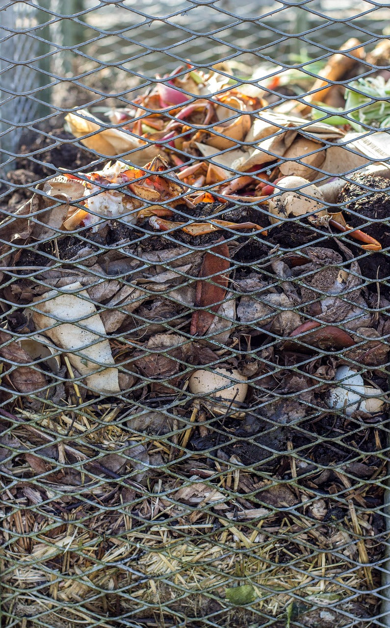 compost bin