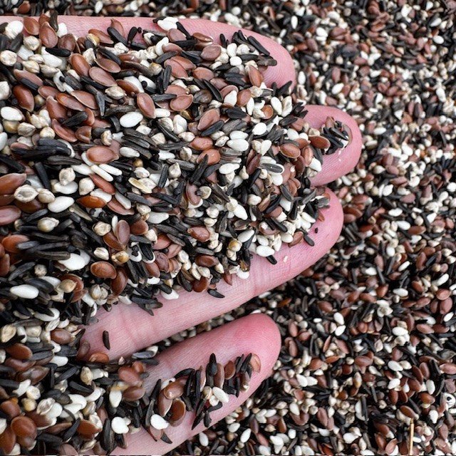 Condition Seed No Rape – A Gentle Boost for Peak Form - Haith's UK