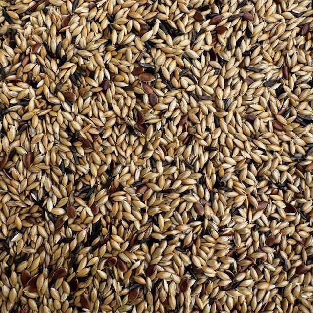 De Luxe Canary Seed Mix – No Rape - Haith's UK