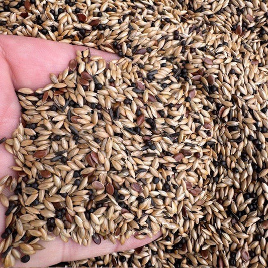 De Luxe Canary Seed Mix with Rapeseed - Haith's UK