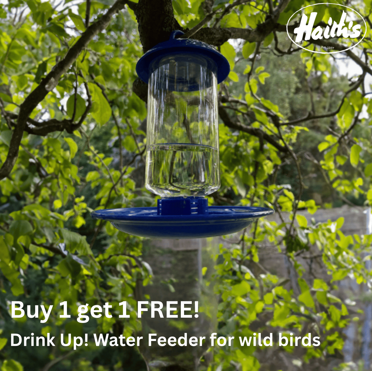 Drink Up! Water Feeder for wild birds - Haith's UK