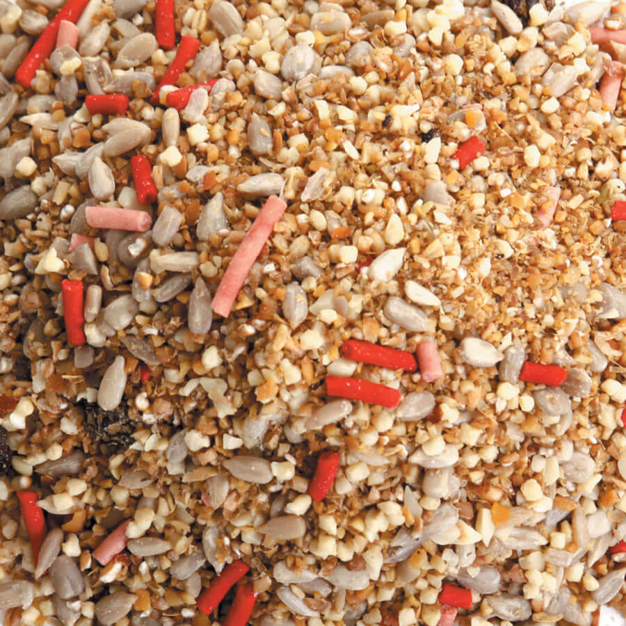 Fat Robin™ - Soft & Nutritious Bird Blend - Haith's