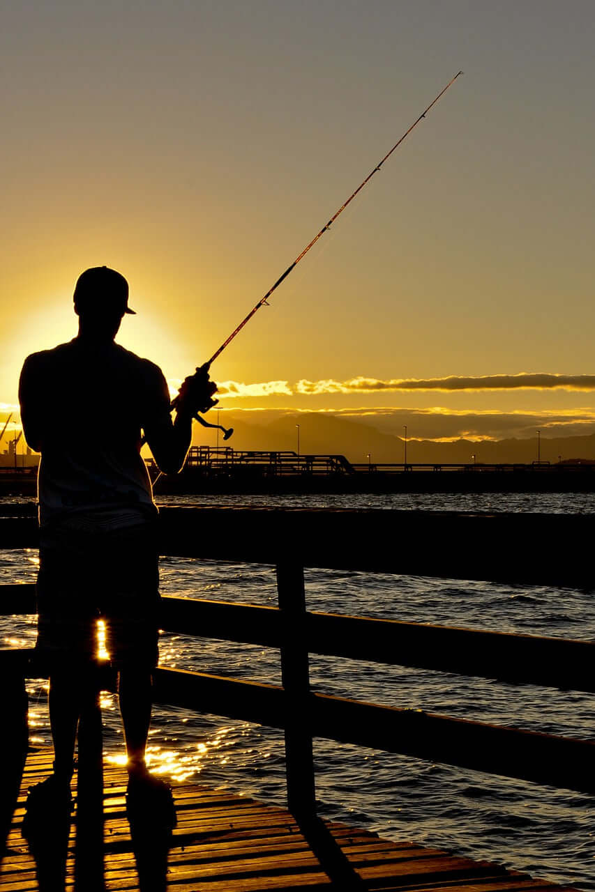 Shop our Robin Red for carp fishing for natural colouring
