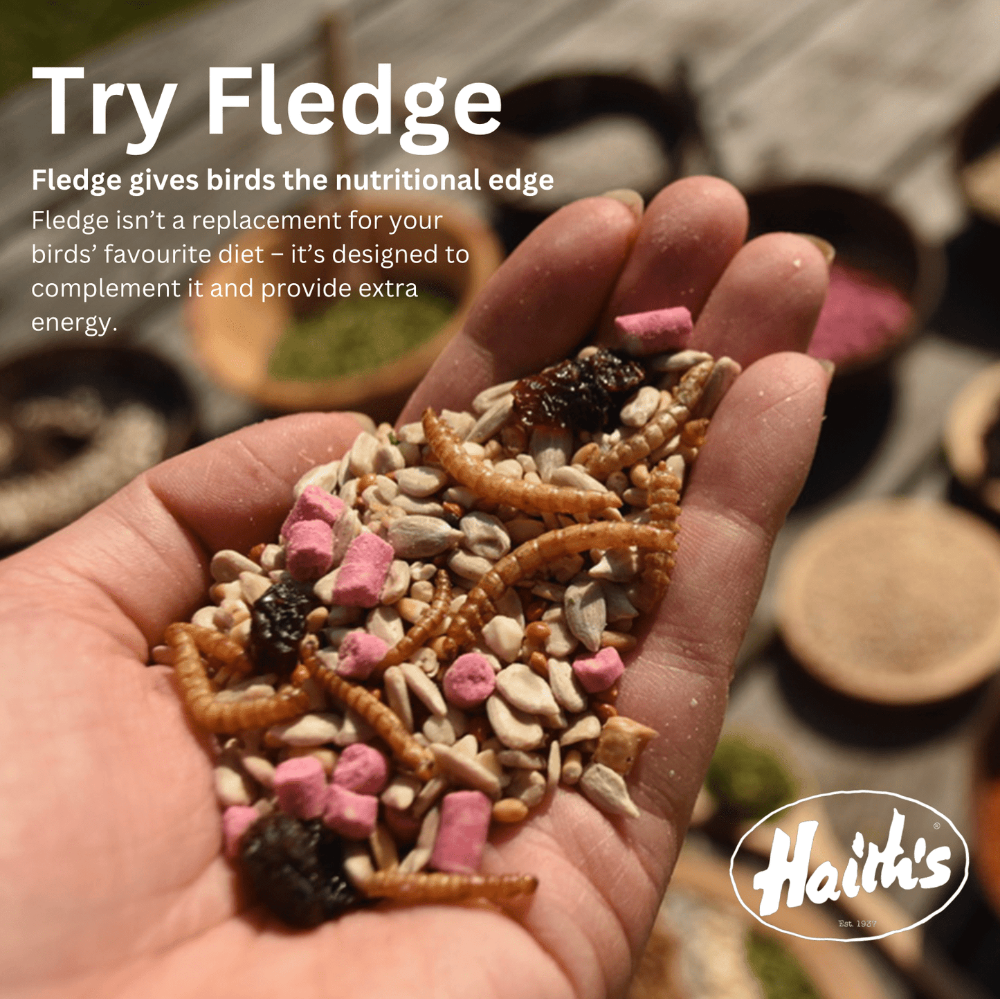 Fledge™ Mix - Optimal Foraging Bird Food - Haith's UK