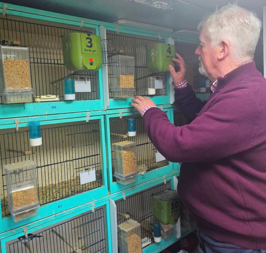 Foreign Finch Tonic Food - Haith's UK