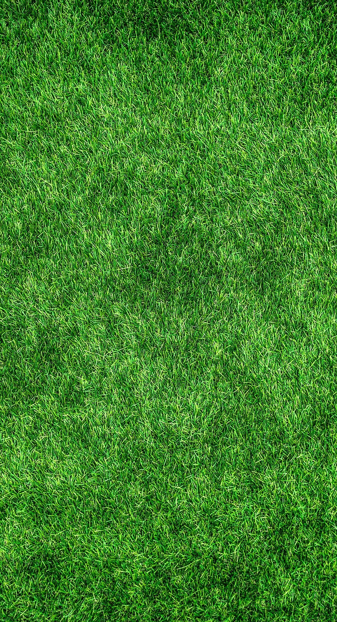 Green grass.