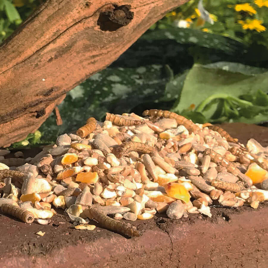 No mess bird seed mix with added dried mealworms.